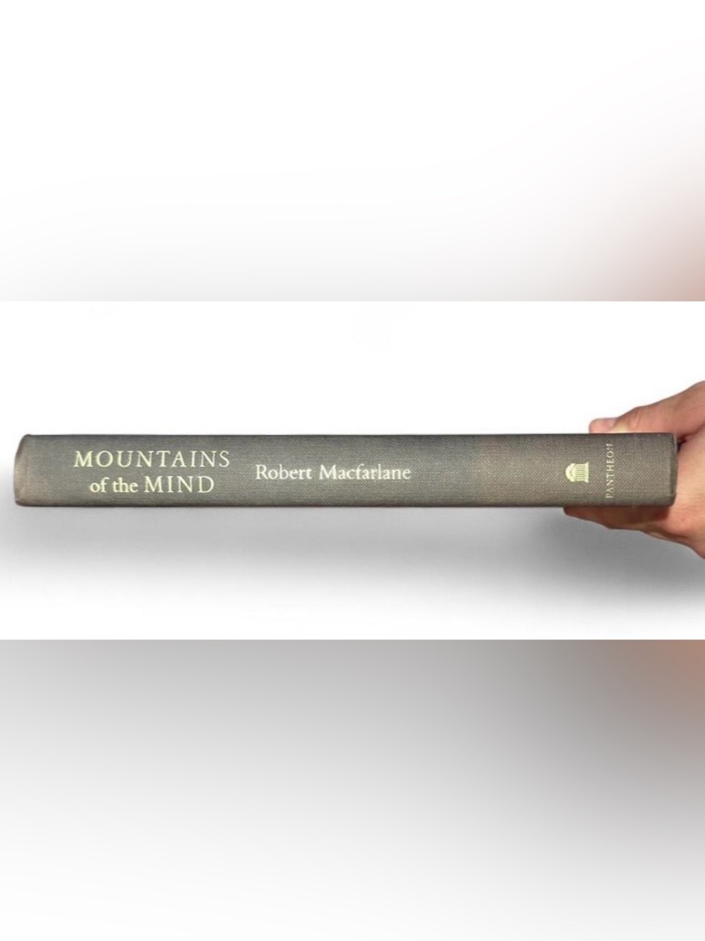 Gray Decorative Book Spine Accent